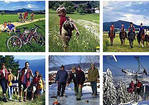 Tourist Information in Furth im Wald